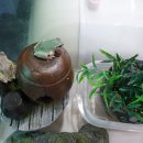 청마루손칼국수전문점 이미지