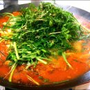 태백 닭갈비 이미지