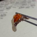 노량진수산 <b>노량진</b><b>수산</b>시장 방어회 넘치는 접시 양현<b>수산</b>