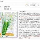 [판매상품 총정리] 여기 보시고 주문하세요~~~ 이미지