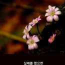 오늘;더좋은날