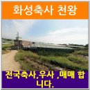 화수리축사 네이버블로그