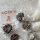 플루피 | 강아지 자연식 화식 추천 | 플루피 파테 급여 후기