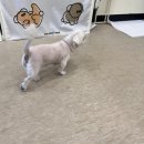 본죽&비빔밥 숭의스타디움점 네이버블로그