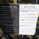 금정산성마을 | 금정구 산성마을 맛집 청사초롱에서 옻오리 백숙 먹고 숲속 카페 아이리에서 커피 마신 우리 돈산 후기