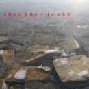 길정낚시터 네이버블로그