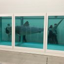 유화 B반 | MMCA 서울 2026/3/23 - 데미안 허스트 특별전 1