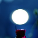 달빛자락 이미지