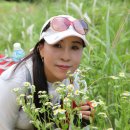 깍꼬뽁꼬 이미지