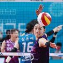 김연경 카카오 검색결과