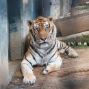 화원119안전센터 이미지