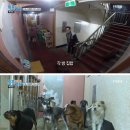 엔젤모텔 이미지