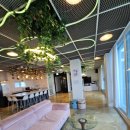 자니노니 마시안점 이미지