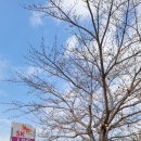 (주)이마트사천점 이미지