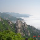 설악산 - 오월 햇살은 기화요초를 살찌우고 이미지