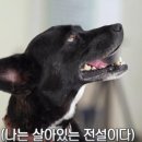 루카농장 이미지