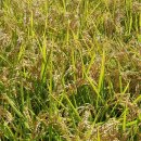 방곡농장 이미지