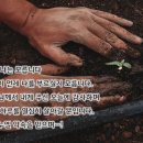 12월 17일(토) 오늘을 열심히 사는 것이 지혜입니다. 이미지