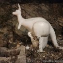 숲속의보아펜션 이미지