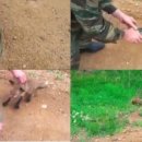 여우사람 이미지