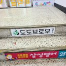 도도브로우 이미지