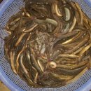 미광목장 이미지