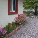 돼지네 울타리 이미지