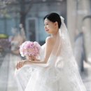 보테가 | [비아잔떼] 보테가마지오 본식 스냅 촬영 후기