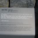 상지길 네이버블로그