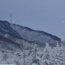 눈 온날 저녁 산책 이미지