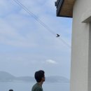 노을사랑 민박 이미지