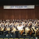 뽀꼬아뽀꼬