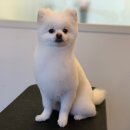 코모네 펫하우스 이미지