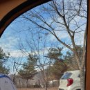 캠누리 오토 캠핑장 이미지