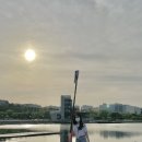 로잉프로
