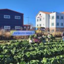 옥포예일유치원 이미지