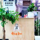 제주 공항 근처 점심 밥집 한식 잘하는 노형동 한데모아