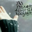 월드컴 Daum카페
