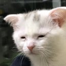 홈덕