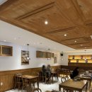 모악산호랭이 이미지