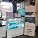 강릉커피콩빵강릉당초당점