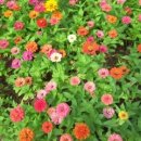 자리공인중개사사무소 이미지