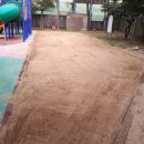 장성초등학교 병설유치원 이미지