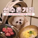 선수촌병원 | 송파 올림픽공원 &lt;선수촌가든&gt; 애견동반 룸식당