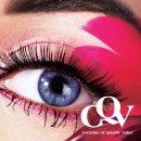 주식회사 씨큐브 이미지