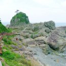 환상의섬 이미지