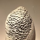 2025.10.16. 제주돌문화공원 이미지