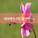 수보리