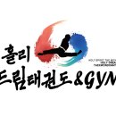 홀리드림태권도 네이버블로그