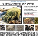 서구출장세차